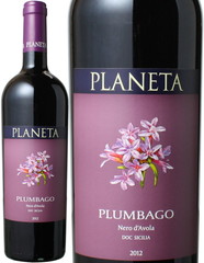 プラムバーゴ　2019　プラネタ　赤　 Plumbago / Planeta　スピード出荷