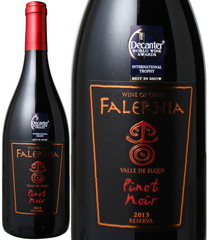 ワイン チリ ピノ・ノワール グラン・レゼルバ 2019 ビーニャ・ファレルニア W050  赤 Pinot Noir Reserva / Vina Falernia   スピード出荷
