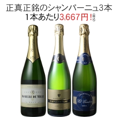 【送料無料】ワインセット シャンパン 3本 セット お中元 ギフト プレゼント シャンパン製法 瓶内二次発酵 第39弾